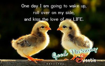 good morning good morning