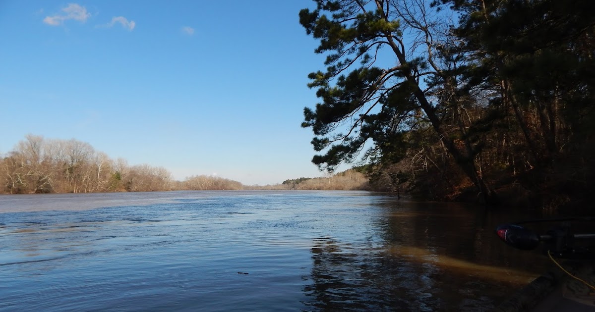 Central Louisiana Birding & Wildlife Birding on the Ouachita and Boeuf