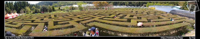 2013-03-23 梅峰農場 春之饗宴 台大森林實驗林_迷宮....真的很迷喔！還好裡面有指標！