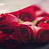 Red Roses Images Pics Wallpaper Photos Bouquet in HD FREE Download