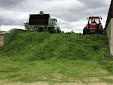 Silage