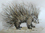 Porcupine watercolor and story