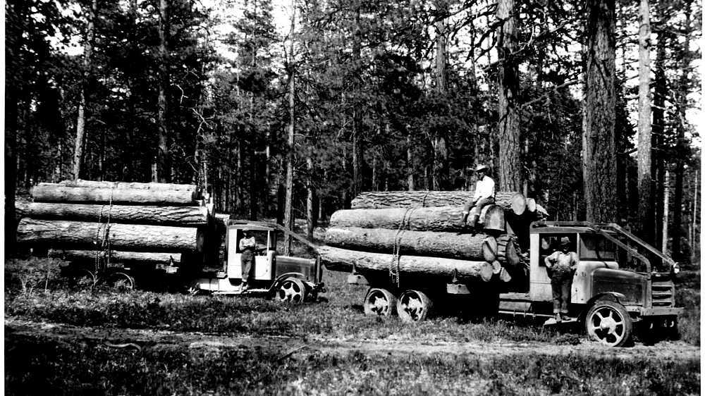 History of the lumber industry in the United States