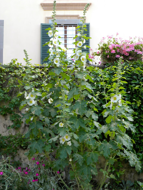 Villa Poggio Torselli