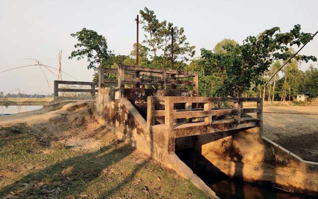 Thousands of acres of crop damage in the rainy season did not repair the embankment! রৌমারীতে হাজার একর ফসলের ক্ষতি বেড়ীবাঁধ সংস্কার না করায়!
