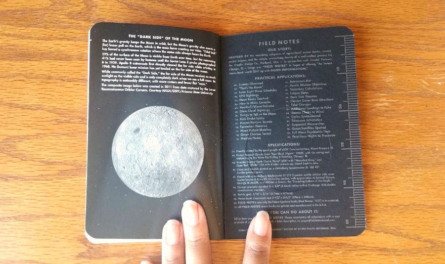 Field Notes Lunacy Edition / Seaweed Kisses