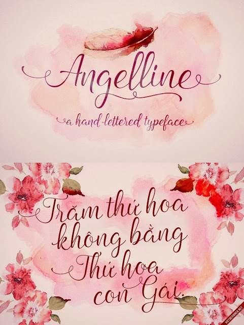 [Script] Angelline Script Việt hóa