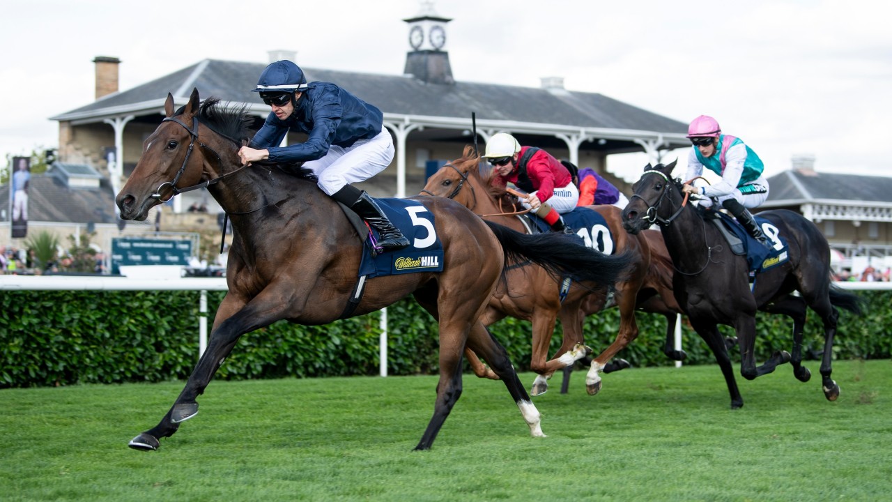 Fleeting Fleeting - horse racing
