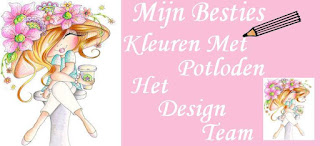 Het design team
