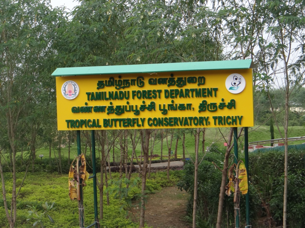 Tamilnadu Tourism Butterfly Park, Srirangam, Trichy
