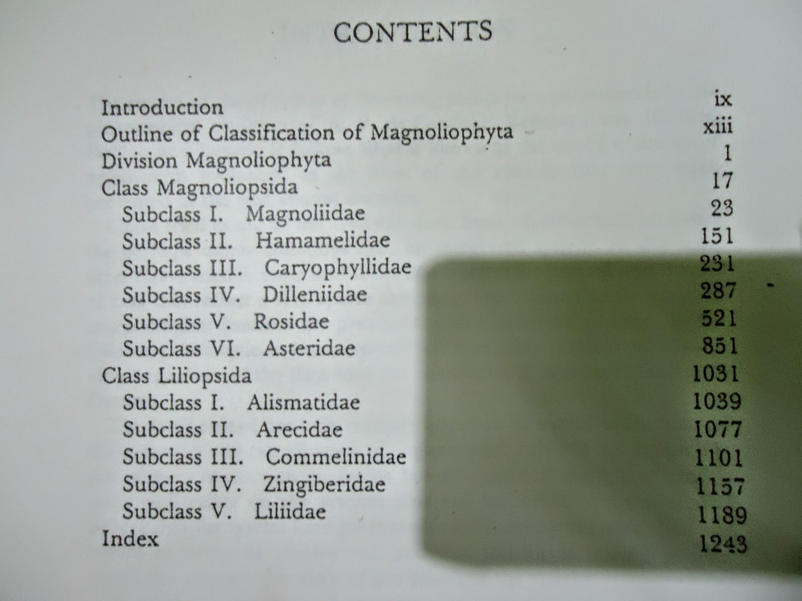 Ok deh, sip :D: Klasifikasi Magnoliophyta Cronquist