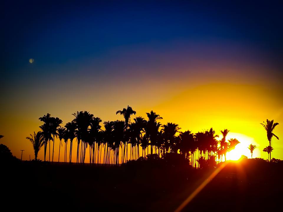 Professor Valdir Geografia de Anajatuba Unidades geoecológicas Parte I