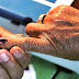 Vote through Postal Ballots for Octagenarians & Persons with Disability