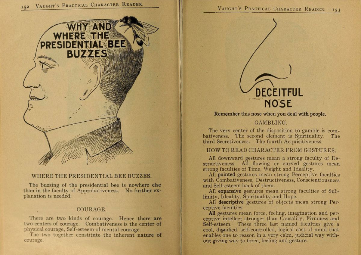 Pages from a weird phrenology book that claimed to ascertain a person s character by the shape of his head and other facial features  1902 - 47