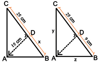 Materi Kesebangunan Berdiri Datar Pengertian Rumus Dan Contoh Cara Ampuh Memahami Matematika Dengan Mudah