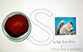 S is for Squirrel