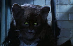 hermione harry potter chamber secrets cat granger cats manning rex into called ron karl glenbrae voldemort secret