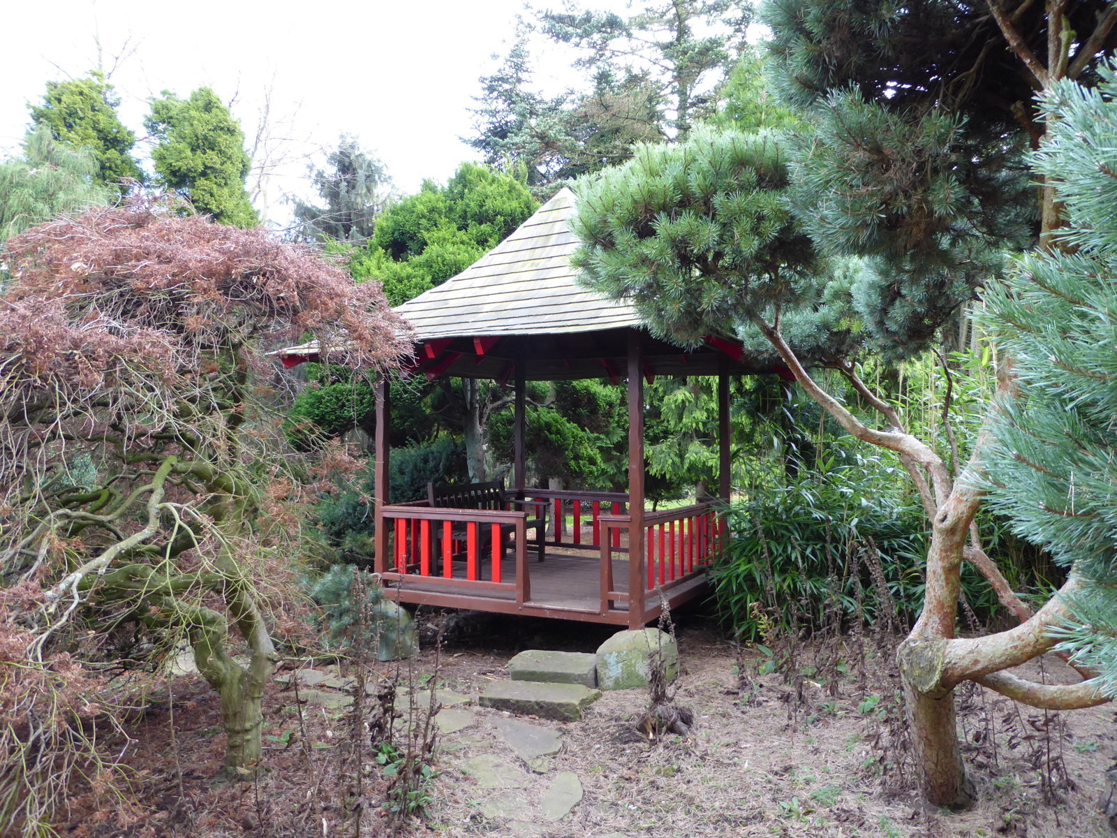 Galanthus Walkers Garden Centre, Doncaster, 16th November 2015