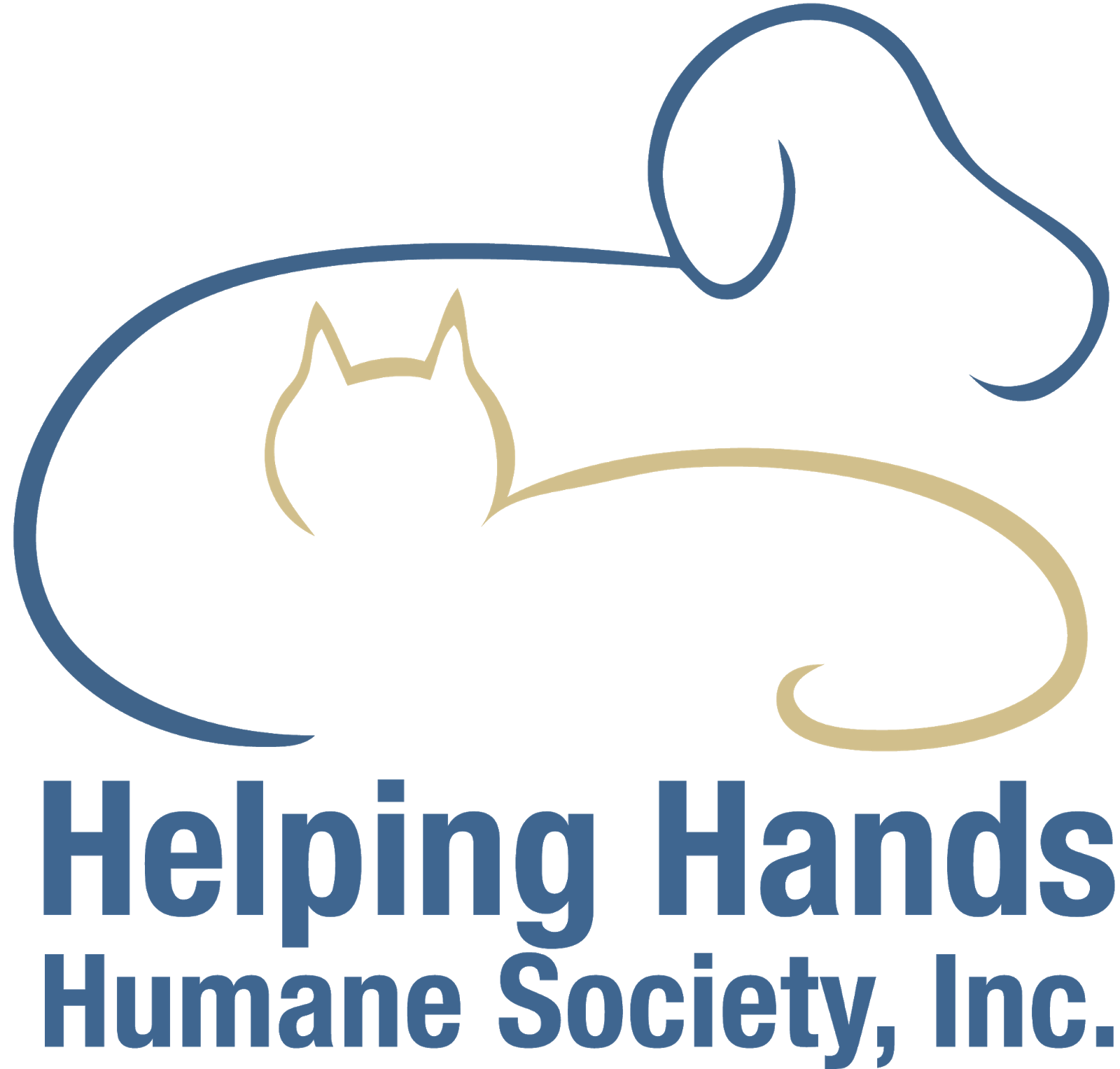 Helping Hands Humane Society: Pet Connection: Darcy's Day Out