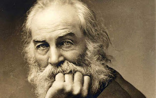 how Whitman has used imagery in his poems.