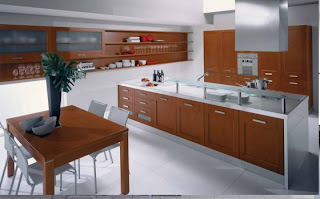 2011 modern kitchen design