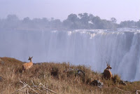 Zimbawe-Vic Falls 7