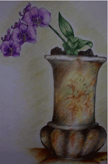 Tanaman anggrek, teknik kering pensil warna Gambar Tanaman anggrek, teknik kering pensil warna sebagai Cara Sketsa Flora dan Fauna Dengan Mudah