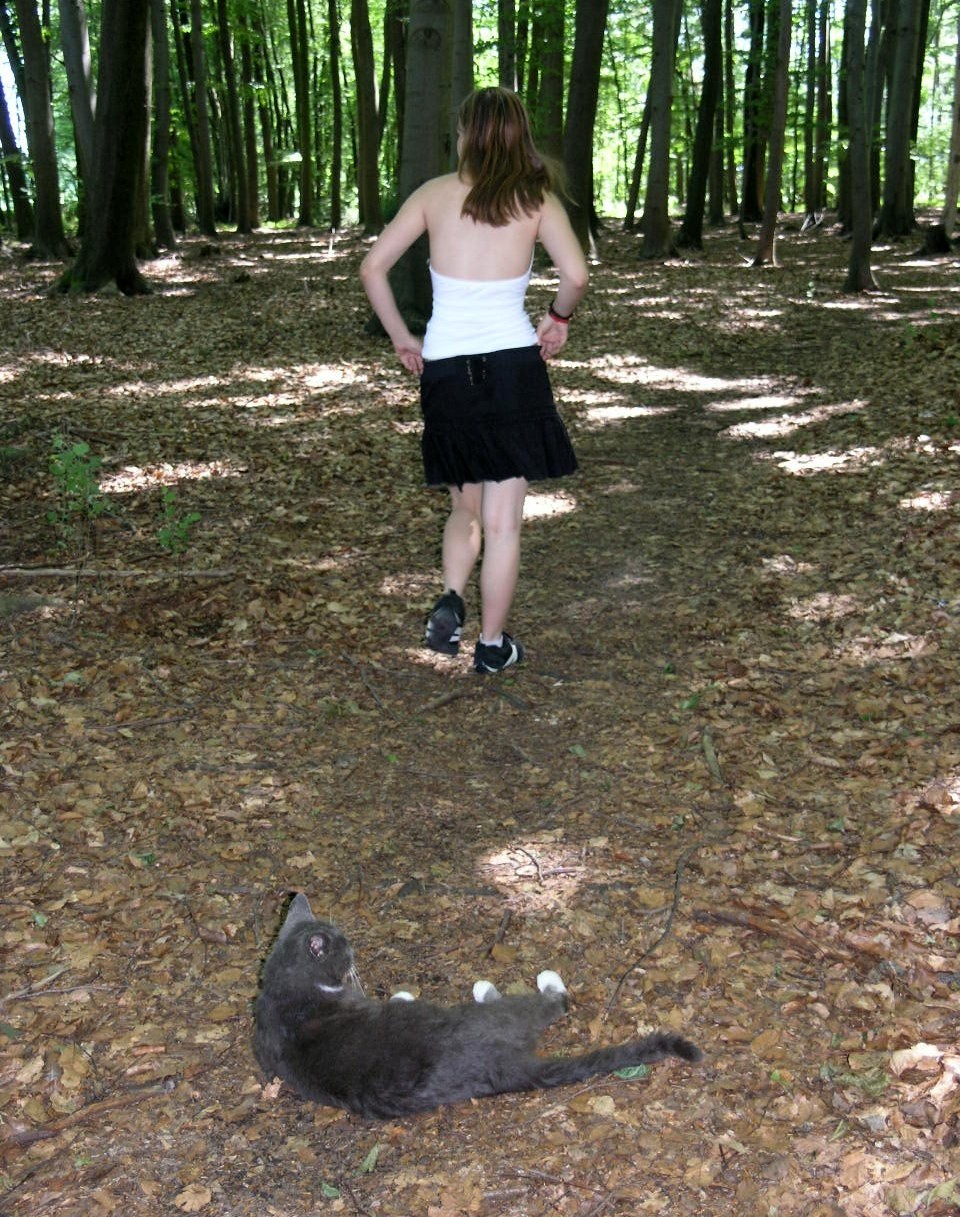 a walk with the cat