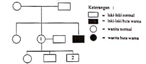 Perhatikan silsilah keluarga beikut! Berdasarkan bagan