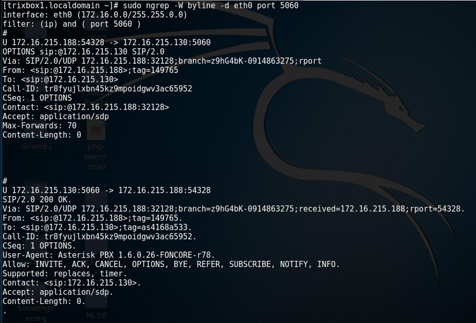 SIPBased Audit and Attack Tool Mr.SIP The World of IT & Cyber