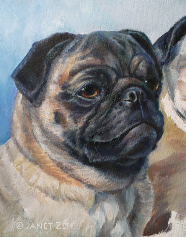 Grommet - pug oil pet portrait