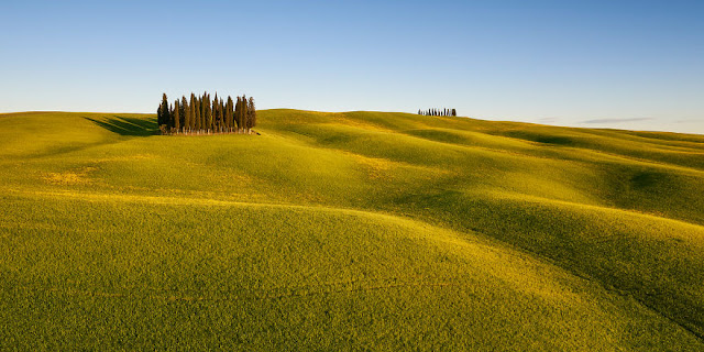 ���� ���� ������ �� ���� ������