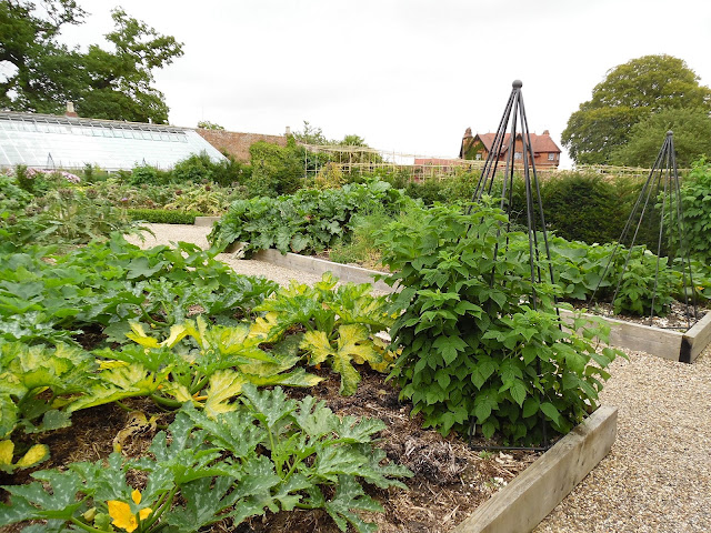 angielski ogród kuchenny, warzywny