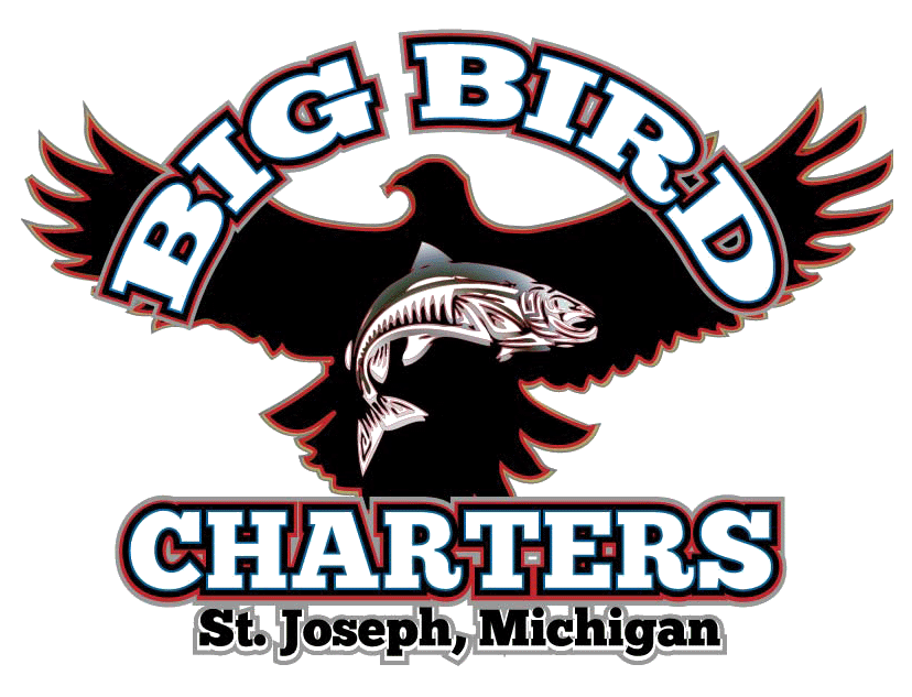 Places To Stay In St Joseph Michigan >> Lake Michigan Salmon Fishing News From Big Bird Charters 04 Places To Stay In St Joseph Michigan >> Lake Michigan Salmon Fishing News From Big Bird Charters 04