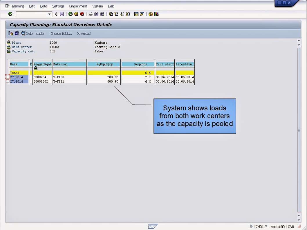 青蛙SAP分享 Froggy's SAP sharing SAP Capacity Planning Pool Capacity
