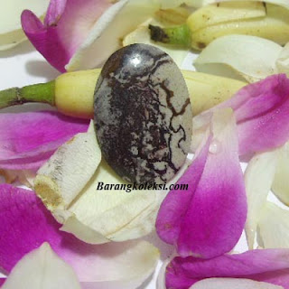 batu mustika bertuah mustika rantai babi hutan, mustika rantai babi youtube, benda mustika rantai babi, harga mustika rantai babi, jual mustika rantai babi, video mustika rantai babi, poto mustika rantai babi, mahar mustika rantai babi, bentuk mustika rantai babi, misteri mustika rantai babi, mustika rantai babi, mustika rantai babi asli, ciri ciri mustika rantai babi asli, asal mustika rantai babi, asal usul mustika rantai babi, asal muasal mustika rantai babi, gambar mustika rantai babi asli, batu mustika rantai babi, barang mustika rantai babi, foto benda mustika rantai babi, mustika bertuah rantai babi, www.mustika rantai babi.com, rantai babi mustika cacing, cara mengenal mustika rantai babi, cara merawat mustika rantai babi, cara mencari mustika rantai babi, cara mengambil mustika rantai babi, cara menggunakan mustika rantai babi, foto mustika rantai babi, fungsi mengenal mustika rantai babi, gambar mustika rantai babi, jenis mustika rantai babi, jual mengenal mustika rantai babi, kegunaan mustika rantai babi, kelemahan mustika rantai babi, kekuatan mustika rantai babi, kasiat mustika rantai babi, manfaat mustika rantai babi, mengenal mustika rantai babi, pusaka mustika rantai babi, sejarah mustika rantai babi, tentang mustika rantai babi, mustika rantai babi yang asli,