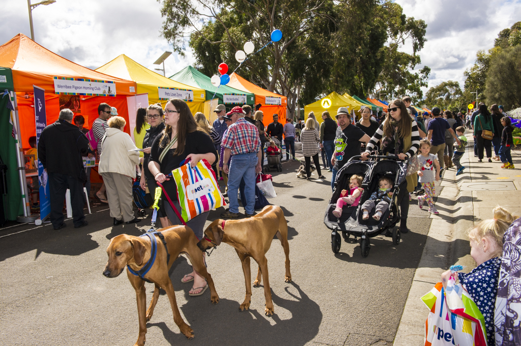 Wyndham Pet & Animal Expo 2017 Sept 17 Australian Dog Lover