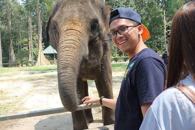 Pusat Konservasi Gajah Kebangsaan (PKGK), Kuala Gandah, Pahang