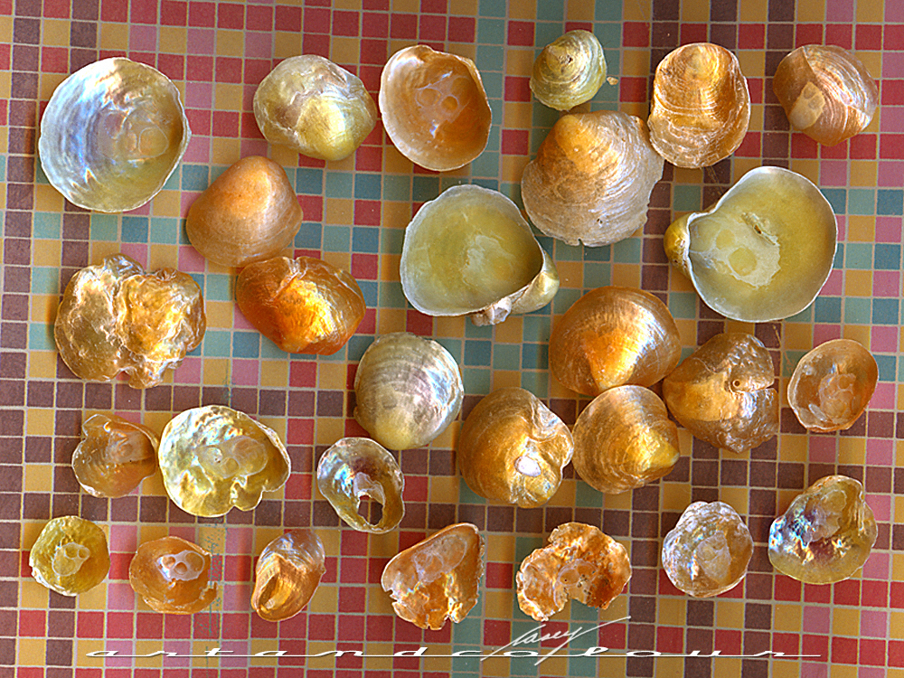 casey/artandcolour: Iridescence is Irregular and Irresistible