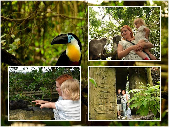 Randers Regnskov - Tropical Zoo 