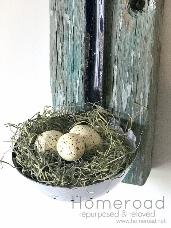 Spanish moss Spring nest