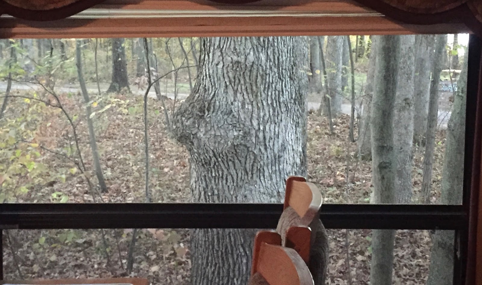 Travel Reviews & Information Newaygo, Michigan / State Campground