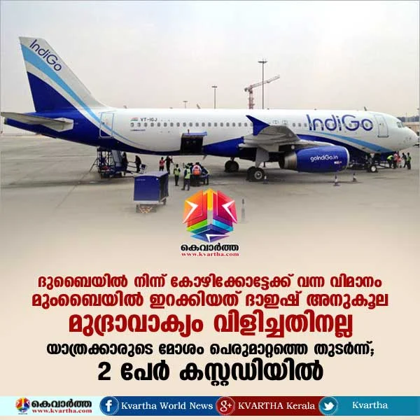  IndiGo Flight Diverted To Mumbai After Passenger 'Misbehaves', Sits On Food Cart, Mumbai, Kozhikode, Passengers, Police, Custody, Dubai, Terrorists, Report, National.