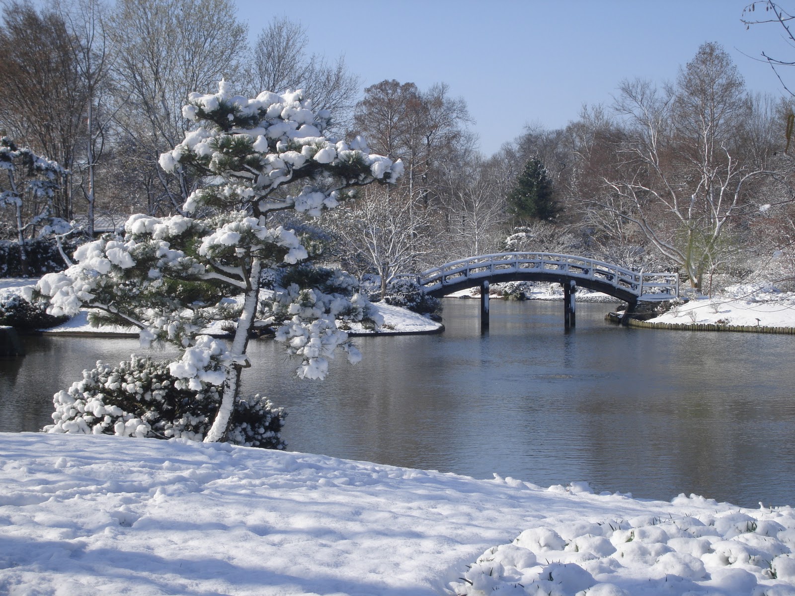 Blue's Clues: Snow Covered Japanese Garden
