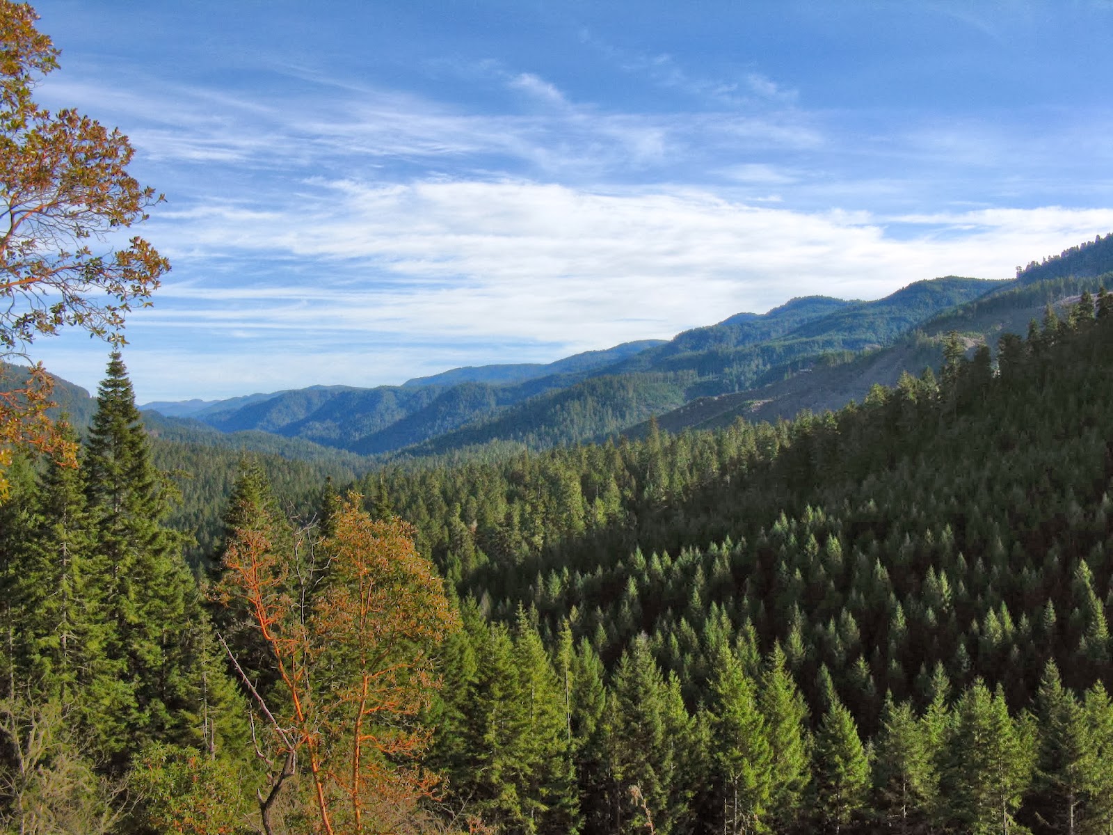 Lane's Trails and Travels: North Umpqua Trail: Susan Creek to Bob Butte