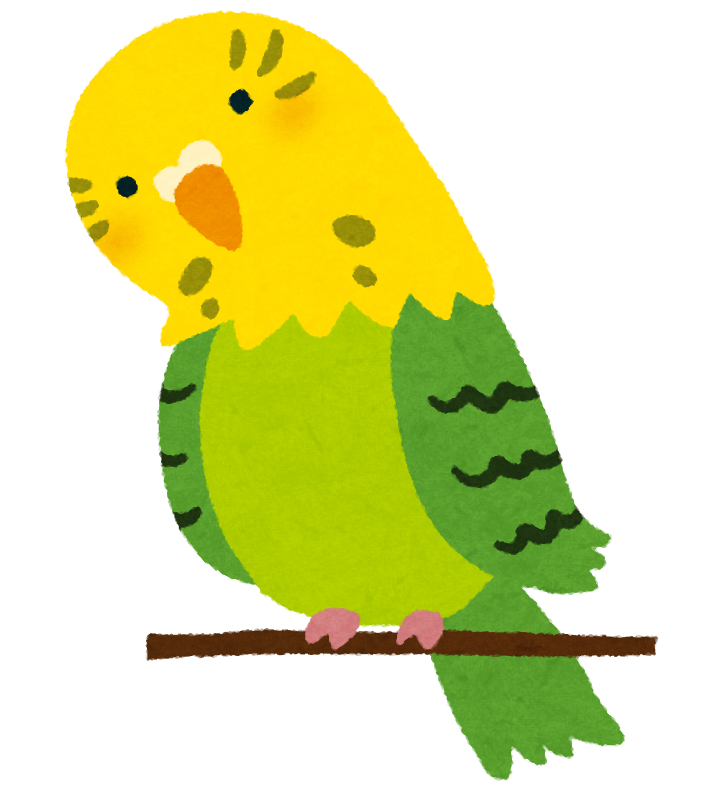 首を傾げるインコのイラスト かわいいフリー素材集 いらすとや