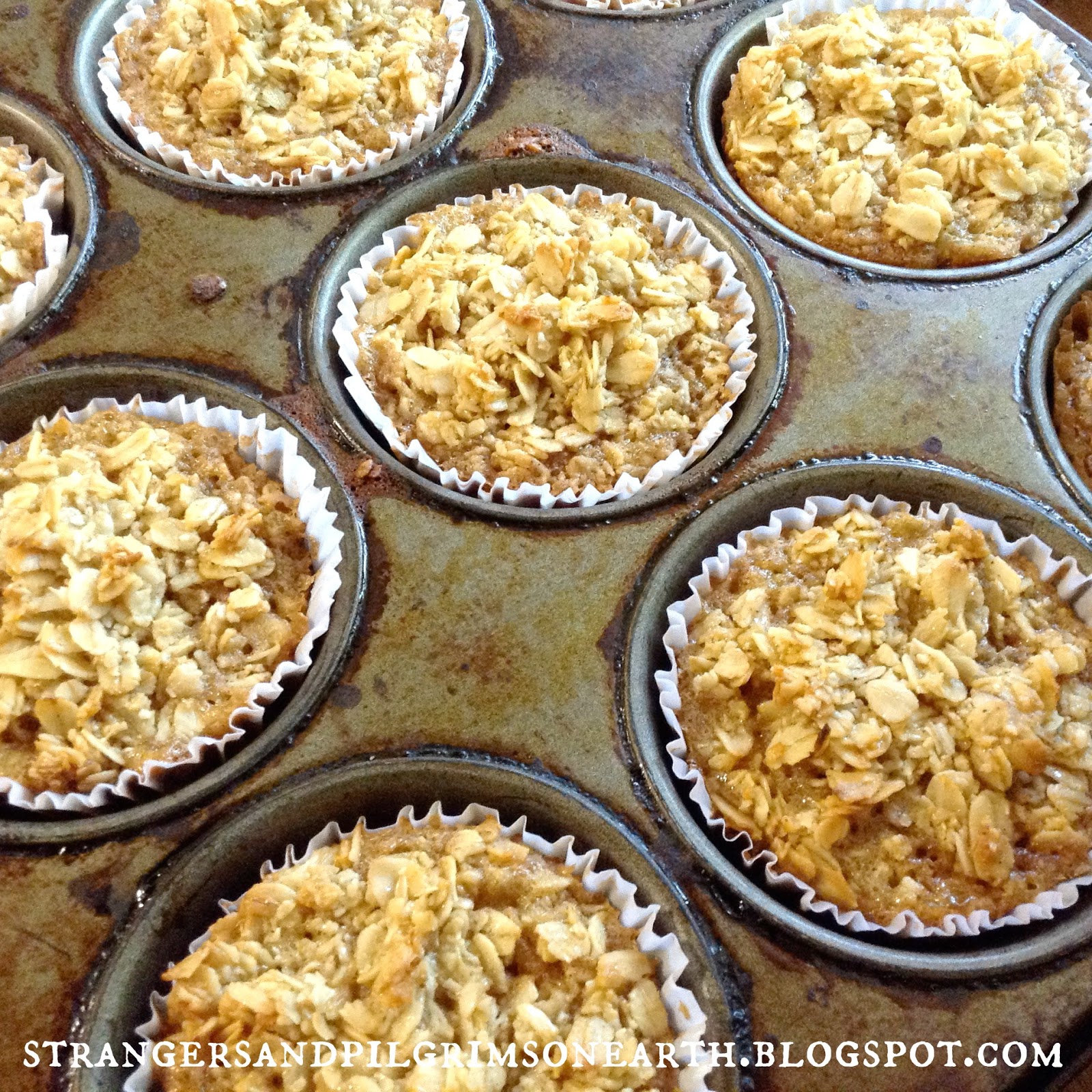 Strangers & Pilgrims on Earth Oatmeal Muffin MixinaJar Free