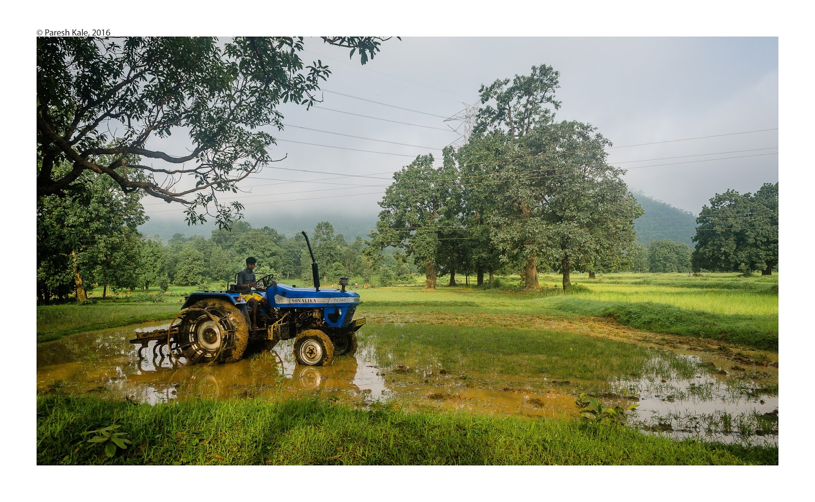Agriculture essay