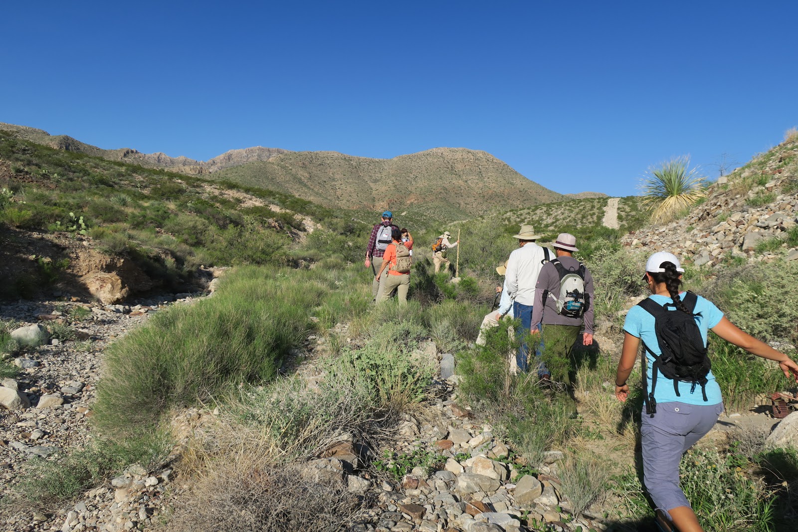 Living Rootless El Paso My First El Paso Hike
