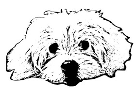 Schwarz-weißes Plottbild mit Hund Rosi (Original von A. Bade)